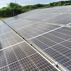 太陽光発電所買取、除草管理致します。　