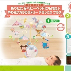 ガラガラメリーの中古が安い！激安で譲ります・無料であげます