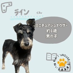 Mシュナのラインくん🍭