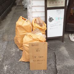薪のセール実施中！キャンプ バーベキュー アウトドア 薪風呂 薪...