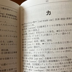 カタカナ新語辞典の画像