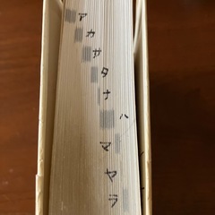 カタカナ新語辞典の画像