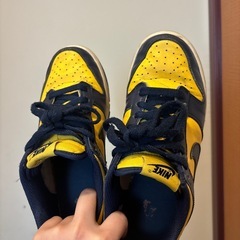 ミシガン23cm