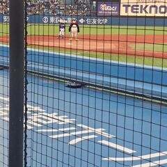 プロ野球一緒に見に行ける友達募集！