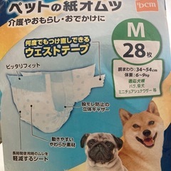 ペット、おむつセットMサイズの画像