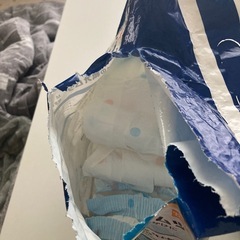 ペット、おむつセットMサイズの画像