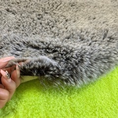 円形ラグの画像