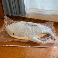 サメぬいぐるみ