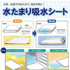 571fk 【未使用品】防災人 水たまり 吸水シート 7L 10枚入り×4袋 BMS-001

 y041002fkの画像