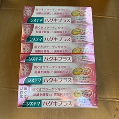 【早い者勝ち】 システマ ハグキプラス 10本セット ③