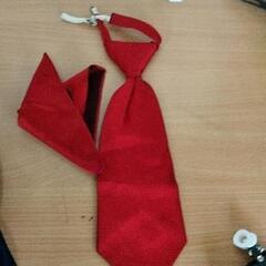 0410-060 フォーマルスーツ　男の子の画像