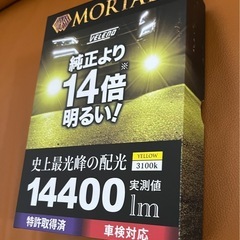 ✳️新品　爆光⭐️ VELENO MORTALE LED H8 ...