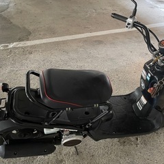 HONDA zoomer　の画像