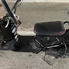 HONDA zoomer　の画像