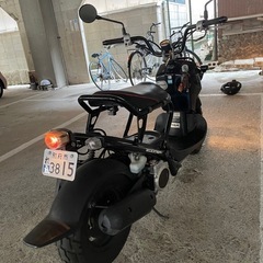HONDA zoomer　の画像