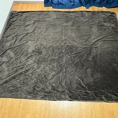 カーペット