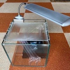 キューブ水槽　20cm