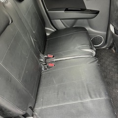 スティングレー‼️安い‼️の画像