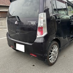 スティングレー‼️安い‼️の画像