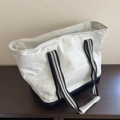 ほぼ新品　保冷　バッグ　大きい
の画像