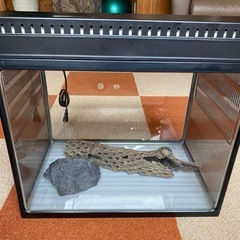 爬虫類用ゲージ　セット