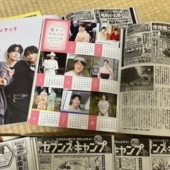女性セブンの画像