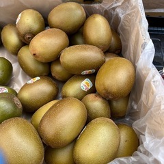 【在庫レッド2個】ゴールドキウイ・ルビーレット2種のキウイ入荷しました！✨の画像