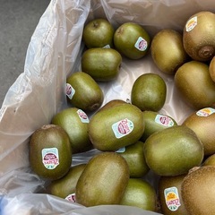 【在庫レッド2個】ゴールドキウイ・ルビーレット2種のキウイ入荷しました！✨の画像