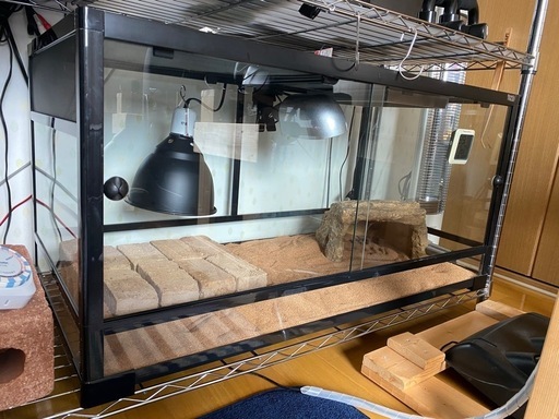 REPTI WILD 爬虫類ゲージ　フルセット