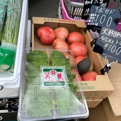 愛知県産の大葉入荷しました！✨