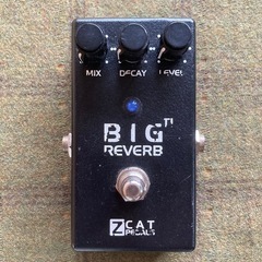 ZCAT pedals Big Reverb TI