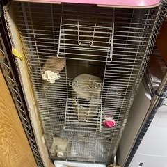 デグーちゃん飼育セット