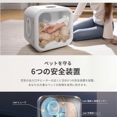 Homerunpetドライハウスの画像