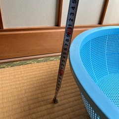 大きいざる　47センチ
の画像