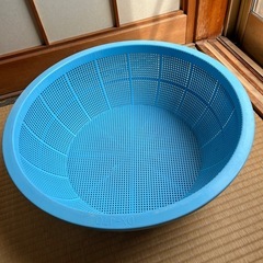 大きいざる　47センチ
