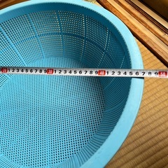 大きいざる　47センチ
の画像