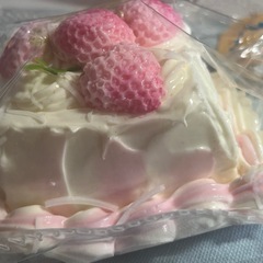 ケーキのスクイーズ