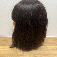 カットウィッグの画像