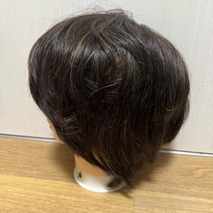 カットウィッグの画像