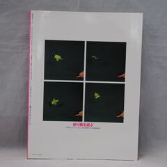 [1218] 季刊　をる　夏　No.9　1995　折り紙を遊ぶ　双樹舎の画像