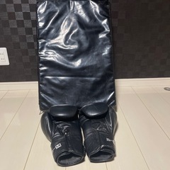 ボクシンググローブ　ミットの画像
