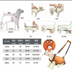 介護犬　歩行補助ハーネス
の画像