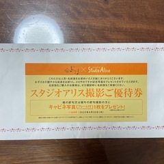 スタジオアリス 端午の節句　撮影券