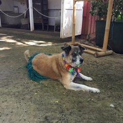 【首里クラス】金曜日10:00〜の画像