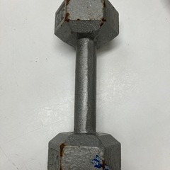 2504-251 六角ダンベル 5kg キズ 汚れ さびありの画像