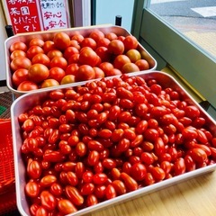 朝採り若松旬野菜！！　生産者直　街の中の小さな直売所「旬鮮」 − 福岡県