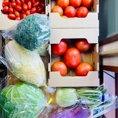 朝採り若松旬野菜！！　生産者直　街の中の小さな直売所「旬鮮」 - 地元のお店