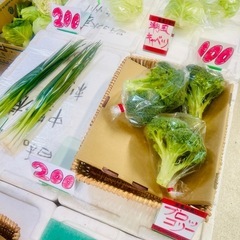 朝採り若松旬野菜！！　生産者直　街の中の小さな直売所「旬鮮」 - 北九州市