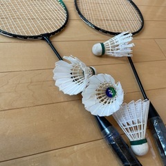 バドミントン🏸の画像