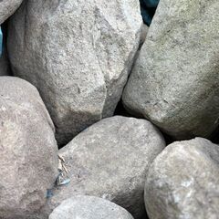 早い者勝ち！画像の庭石どれでも1個500円の画像